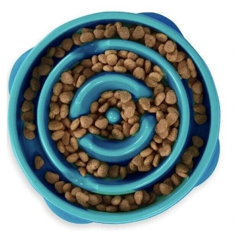Outward‎ Hound Fun Slow Feeder Dog Bowl Medium Turquoise and Metal water bowl